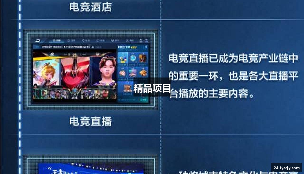 精品项目